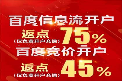 不同平台下的关键词竞价排名策略比较与案例分析